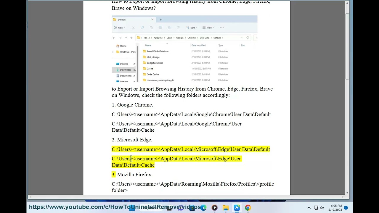 Export or Import Browsing History from Chrome/Microsoft Edge/Firefox/Brave on Windows (2023)