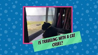 Is Traveling With A Cat Cruel?