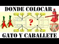 Como y de donde LEVANTAR un COCHE de forma CORRECTA y SEGURA | Gatos Hidraulicos y Borriquetas 🛡💡