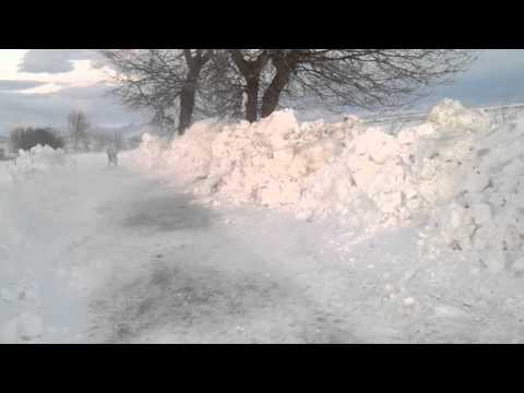 zhitoshe 07.01.2012