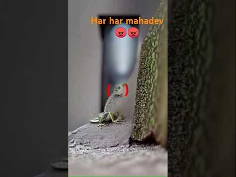 Har har mahadev