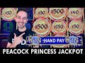 🦚 JACKPOT WIN on Dragon Link 🦚 Peacock Princess delivers the beautiful bounty
