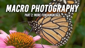 Macrofotografie | Deel 2: Meer basisprincipes