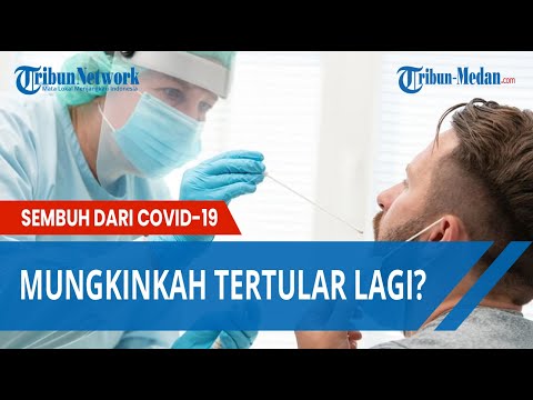 Video: Dapatkah Anda tertular covid setelah terjangkit?