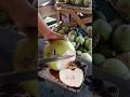 Pure coconut Asmr🥥🌴 #fruit #fruit #satisfying #satisfying #coconutcuttingskills #coconut #food