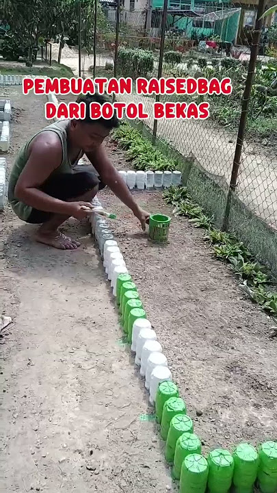 raised bed cantik dari botol bekas #berkebun #gardening