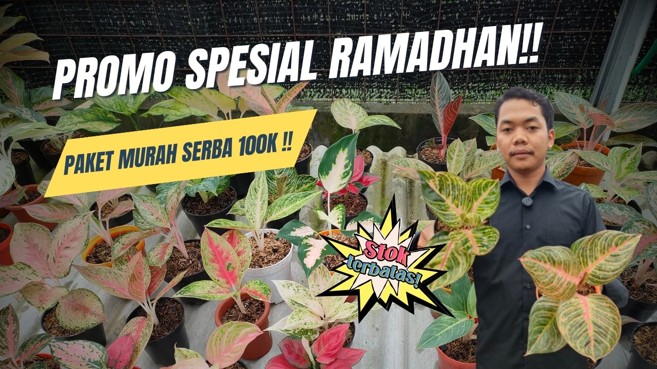 PROMO SPESIAL RAMADHAN!!! PAKET MURAH SERBA 100K!!