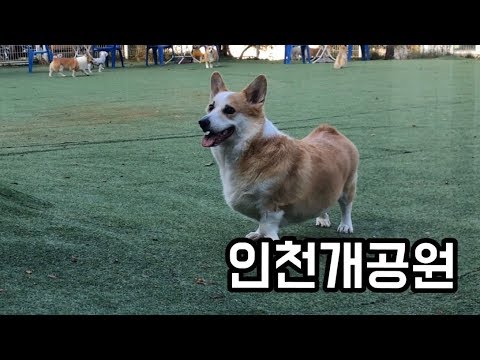 호두, 누나와 인천개공원 놀러가다