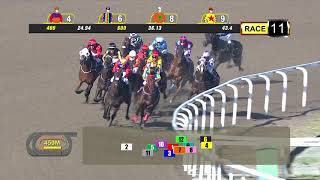 Vidéo de la course PMU ARENTI 2006 STAKES