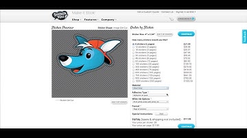 Ordering Clear Stickers -- StickerYou Tutorials