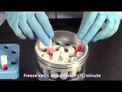 Nalgene® Cryo 1°C 'Mr. Frosty' Freezing Container, Thermo Scientific