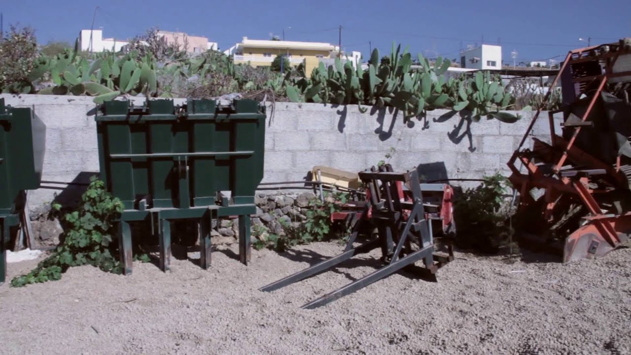 Premios Iniciativas Innovación Agrícola en Papa. Cabildo de Tenerife