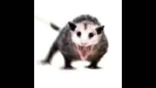 Namorada Vs Aaahhhhhh