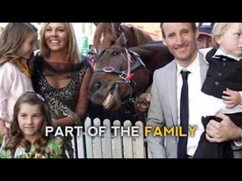 Vidéo: Une Baleine Lowkey A Photobombé Cette Mariée Et Le Marié Dans La Plus Grande Photo De Mariage