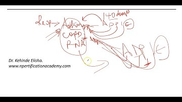 BEST FNP/AGNP -ANCC and AANP EXAM- Am I studying the right stuff? Exam Techniques & strategies #fnp