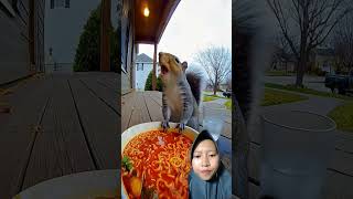 tupai kok makan mi #funny #animals #cute #sora2 #animasulucu #animasi #kartunjadul #comedy #kartun