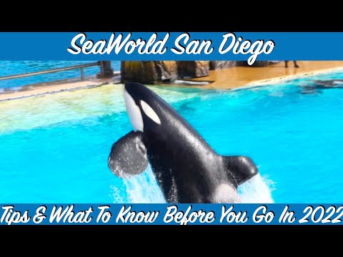 SeaWorld San Diego - Tips & What To Know Before You Go 2022