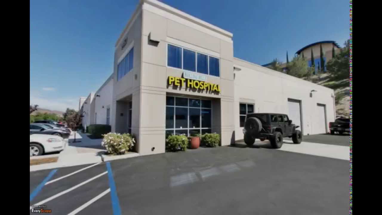 Rolling Hills Pet Hospital Chula Vista, CA Veterinarians YouTube