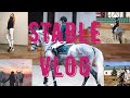 STABLE VLOG|ПОЕЗДКА В MAXIMA STABLE