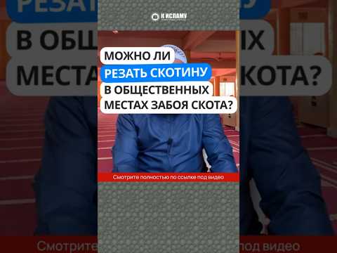 103. Можно ли мусульманину резать скотину в общественных местах забоя? #Shorts Ринат Абу Мухаммад