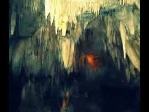 الشيخ مشاري العفاسي أنشودة مع الحبيب صور من الجزائر 