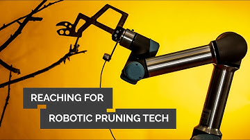 A robot’s rules for pruning begins with vision systems