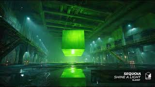 SEQUOIA - Shine a Light