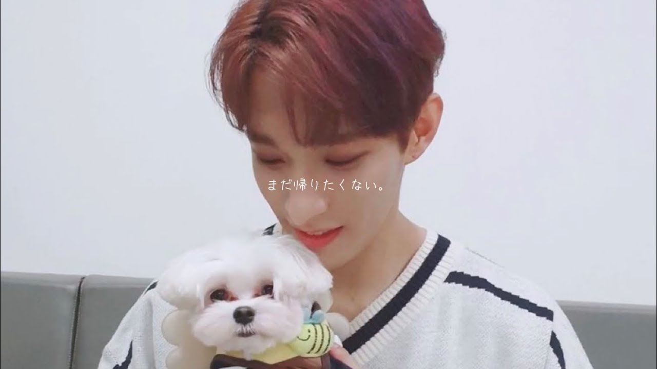 [妄想・セブチ]  まだ帰りたくない。　　　      (ドギョム)