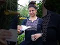 Jal Neti The Ancient Ritual Radhika Iyer Talati Jal Neti The Ancient Ritual Radhika Iyer Talati