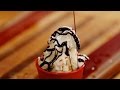 Ice Cream in a Bag Hack - Brothers Green “Eats” MTV