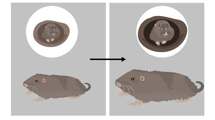 Digging into gopher evolution