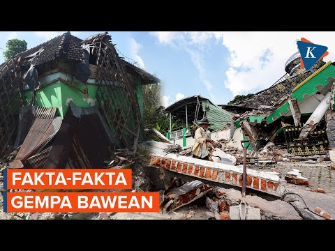 Fakta Gempa Bawean, Bersifat Merusak dan Salah Satu yang Kuat di Laut Jawa