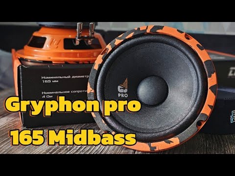 Обзор и прослушка DL Audio Gryphon pro 165 Midbass.