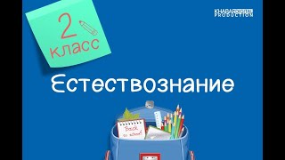 Естествознание. 2 класс. Солнце и его влияние на Землю /13.01.2021/