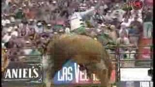 Mike Lee Wins in Dallas