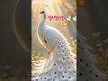 🦚 beauty mor , #emotional #trending #viral #viral #funny