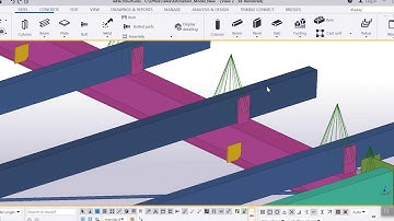 Display Detailing  #Tekla