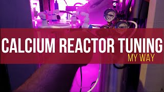 Tuning a Calcium Reactor Geo Calcium Reactor Setup