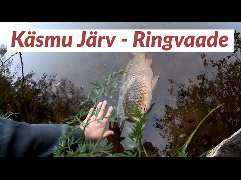 Video: Varustage Järv: Avatud Võistlus