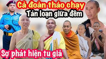 Nóng! Sư Minh Tuệ Bỏ Chạy Tán Loạn Trong Đêm Khỏi Lâm Tì Ny, LS Vô Thường Làm Càn