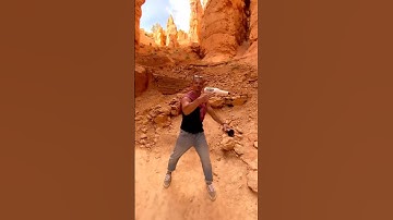 Flair tricks / 1 shaker and 1 bottles routine