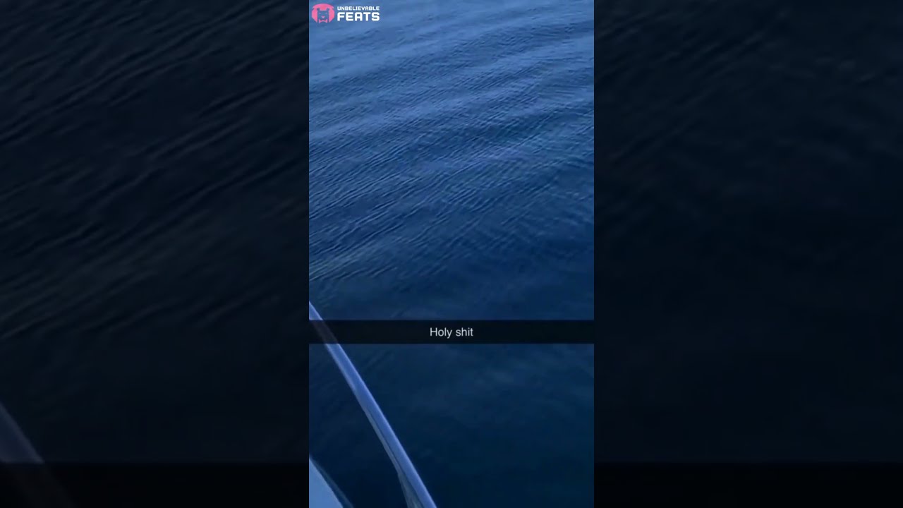 Real Life SEA MONSTER Caught On Camera Shorts Seamonster Viral Unbelievablefeats