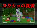 スクリーンショットのマイクラ都市伝説を検証してみた【まいくら・マインクラフト】