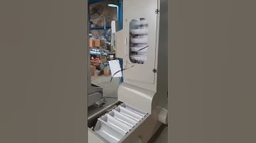 Z-Type Bucket Elevator for Gentle Material Handling | Upflow Industry #bulkmaterialhandling