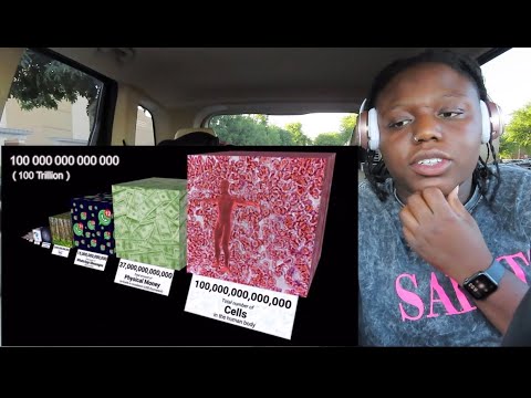 Reigarw Comparisons x Beyond Infinity Number Comparison | REACTION ...