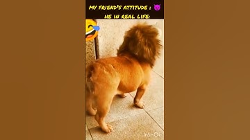 #shortsvideo #funny#friend #like #share #subscribe #comment