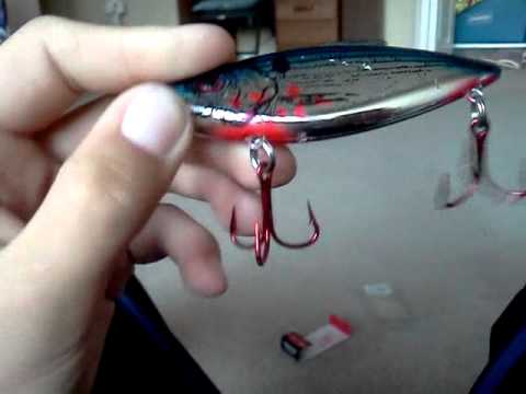 talking parrot Lure of the day