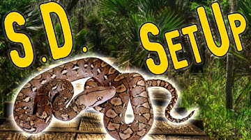 NEW Super Dwarf Enclosure! [Snake Cage Setup]  Naturalistic Style