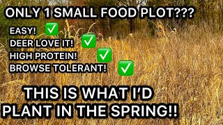 ONE SMALL FOOD PLOT??? SPRING PLANTING, THIS IS WHAT I WOULD PLANT.
