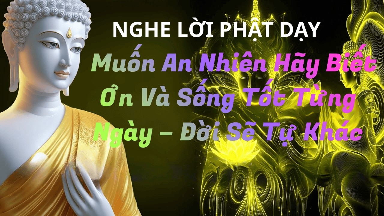 Muốn An Nhiên, Hãy Biết Ơn Và Sống Tốt Từng Ngày – Đời Sẽ Tự Khác#phat phap an nhien #loi phat day
